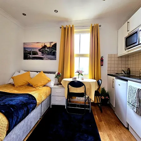 Elegant Spacious Studio Apartment In London
